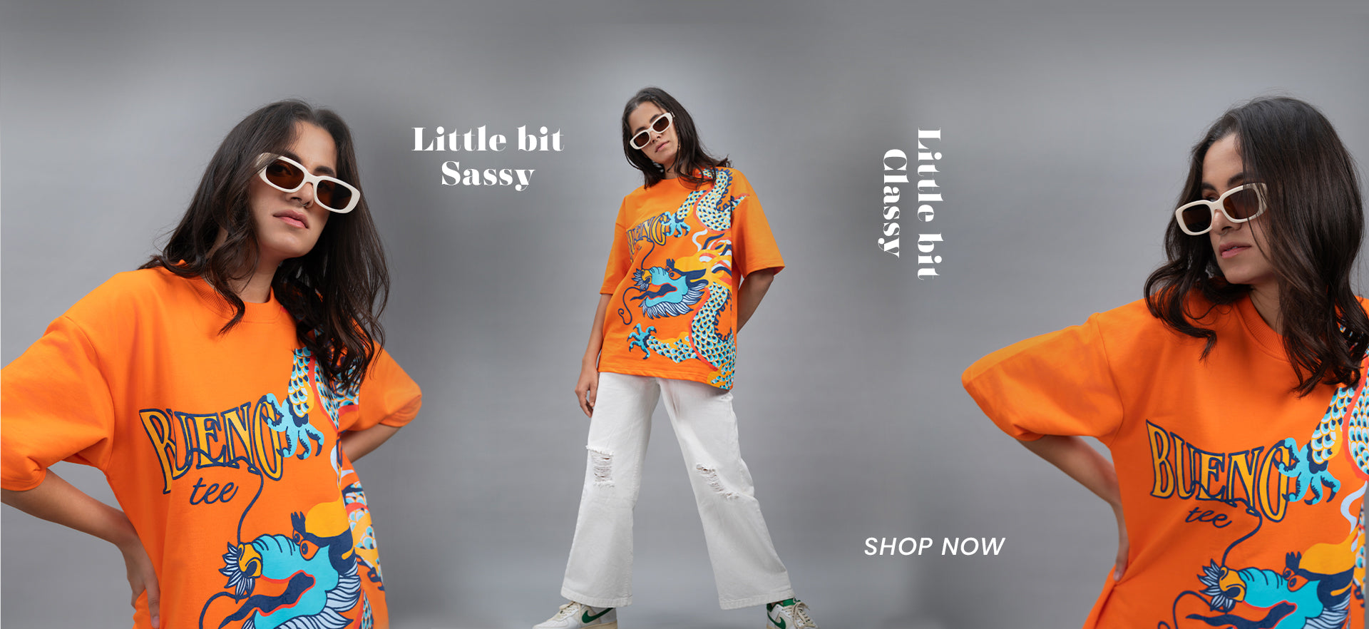 Carousel Banner Image