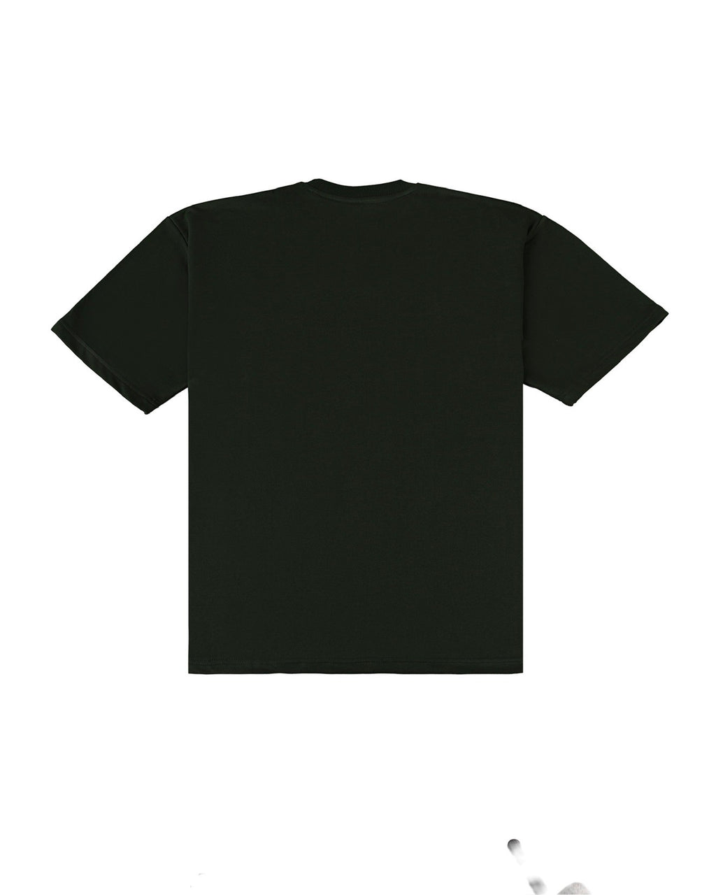 OASIS GREEN - BT