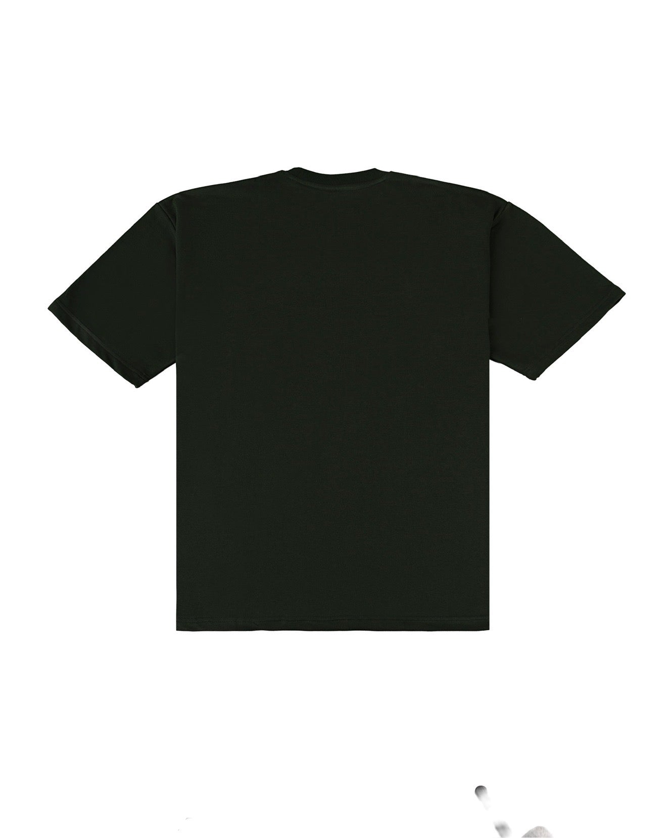 OASIS GREEN - BT